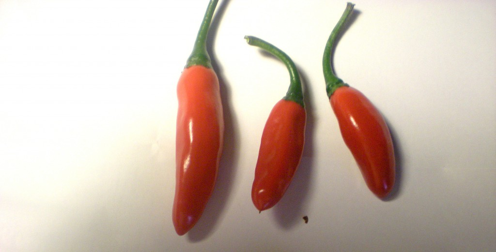 peperoncino